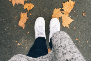 Lesson 8: Combining Strong Destination eSIM Plans With Search Visibility Strategy Compounds Travel Business Growth
